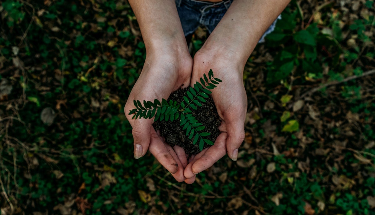 Reducing Waste Through Structured Liquidation